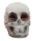 1506-0004 Cv-8054 Head Visions Toppers Multitude Skull Cycle