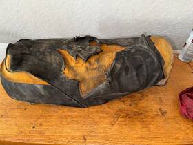 77100-395-670 Honda 76 Mr-250 Seat