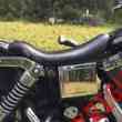 Ln-001 Seat 96 Bare Dyna 03 Bones Le Solo Pera