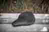 S2-vin-00-bd Rigid " 11.5 2 Solo Black Seats Custom 13 Biltwell 0806-0084 Diamond