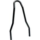 50263817 Specialties Sissy Bar Drag
