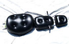 Lzx250-5 Touring Studded Zongshen 250cc 2006 Wide Seat Original