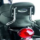 A9738019 Triumph Bonneville Sissy Bar Short Oem T100 Backrest