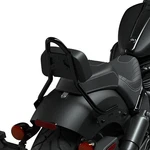 Indian Motorcycle Bolt-on Sissy Bar, Black 2884631-266. Fixed Price $369.99.