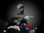 National Cycle Paladin Backrest P9800A. Fixed Price $152.99.