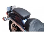 Danny Gray Narrow Passenger Seat Pillion Pad Suction Cup Lick And Stick Harley. Fixed Price $135.00.
