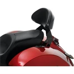 Victory Genuine Oem Nos Passenger Quick Release Backrest Kit 2880163-266 Tb. Fixed Price $290.00.
