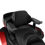 Can-am Oem Spyder Passenger Armrests, 219401181. Fixed Price $532.49.