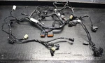 12-16 Ninja 650R Ex Main Engine Wiring Harness Motor Wire Loom *no Cuts*. Fixed Price $89.99.