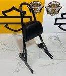 Oem Sportster Harley 04-22 Detachable Tall Sissy Bar Passenger Backrest Sporty. Fixed Price $89.95.