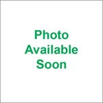 Drag Specialties 1501-0767 Square Sissy Bar 10 In. X 14.75 Black Tall. Fixed Price $180.78.