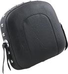Mustang Bracket-style Sissy Bar Pad 79050. Fixed Price $180.00.