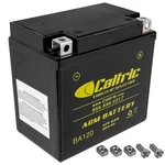 Agm Battery For Honda CHF50PS CHF50S NPS50 PCX125 PCX150 WW150. Fixed Price $34.00.