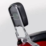 National Cycle Paladin Backrest P9800A. Fixed Price $161.96.