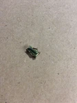 Suzuki GS1000 GS850 Nut Oem Nos 09148-03008. Fixed Price $5.25.