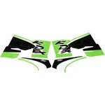 Kdx 220 1995-2007 Factory Effex Oem Shroud / Tank Graphics 05-2688. Fixed Price $42.25.